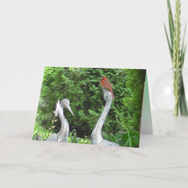 Carte Cardinal debout sur Pelicans Blank (Devant)