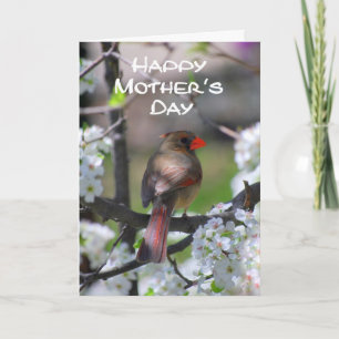 Carte Cardinal Happy Mother's Day Card