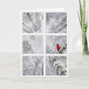 Carte Cardinal rouge dans une fenêtre d'hiver
