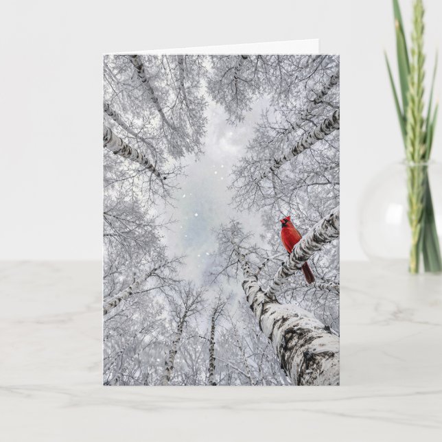 Carte Cardinal rouge dans une forêt de bouleaux blancs h (Devant)