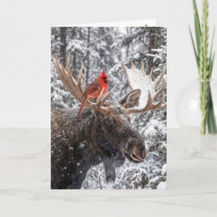Carte Cardinal rouge de Noël sur des bois de orignal enn