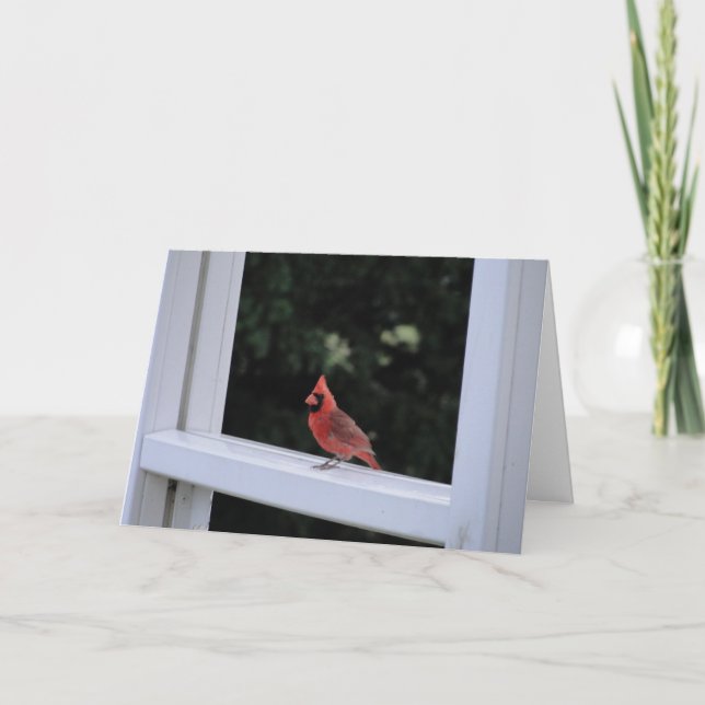 Carte Cardinal Rouge, Vous Manquez (Devant)