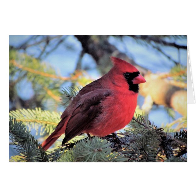 Carte cardinale pour les notes quotidiennes (Devant Horizontal)