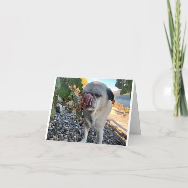 Carte Carlin anniversaire drôle (Devant)