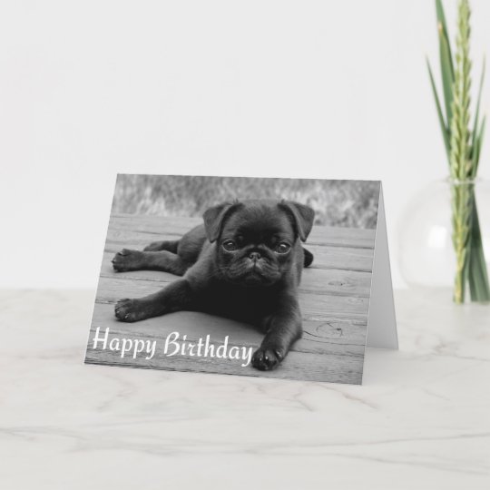 Carte Carlin Chien Chien Chien Heureux Anniversaire Cart Zazzle Fr