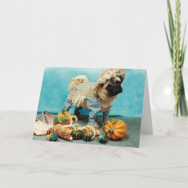 Carte Carlin Chien Scarecrow (Devant)