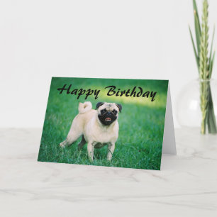 Carte Carlin Joyeux anniversaire