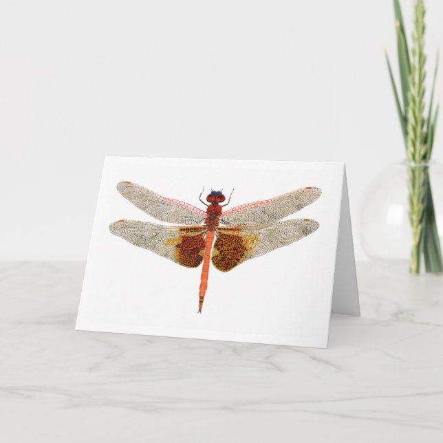 Carte Carolina Saddlebags Dragonfly (Devant)