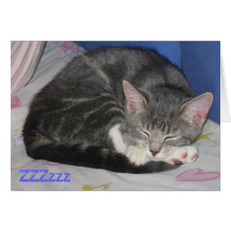 Carte carrée de petit somme de chaton de mitaines