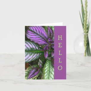 CARTE CARTE, "BONJOUR" PLANTE/PURPLE ET PELOUSE/PERSE