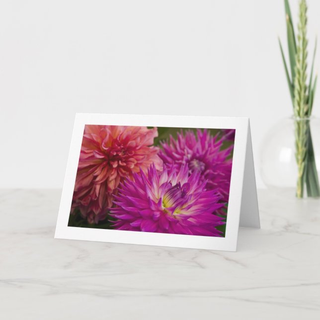 Carte Carte, Dahlia # 150 (Devant)
