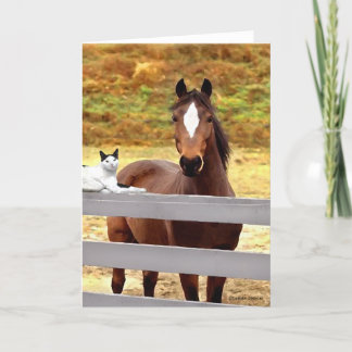 Carte "Carte de voeux de cheval et de son chat"