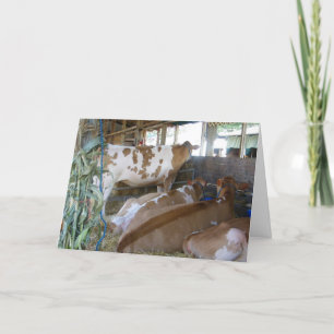 CARTE "CARTE D'HUMOUR DE VACHE 50E ANNIVERSAIRE"