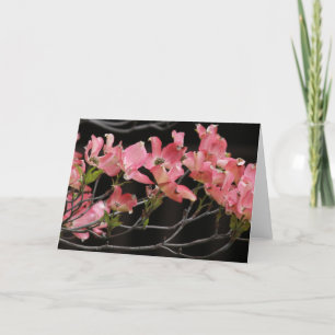 Carte Carte, "DOGWOOD ROSE # 2"