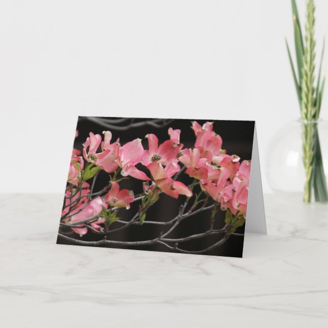 Carte Carte, "DOGWOOD ROSE # 2" (Devant)