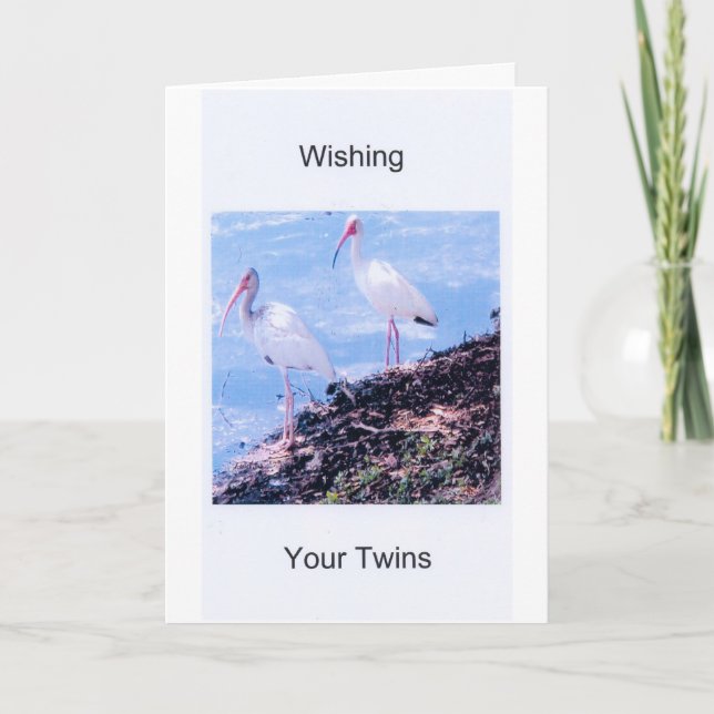 Carte Carte-Jumeaux d'anniversaire (Devant)