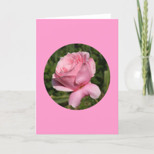 Carte Carte, "Rose rose en cercle" N-1