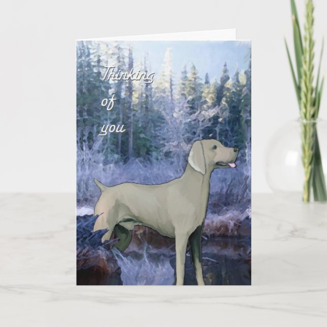 Carte carte_sympathie_weimaraner (Devant)