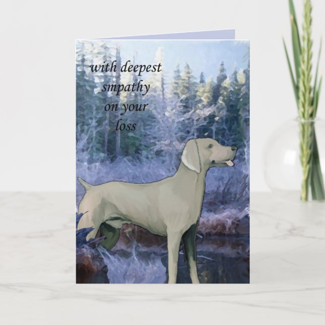 Carte carte_sympathie_weimaraner (Devant)