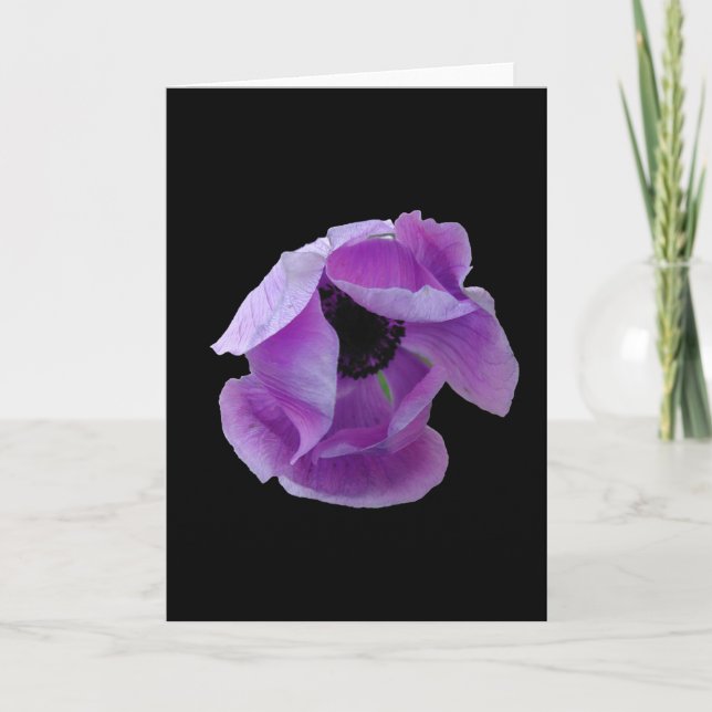 Carte Carte, un pavot pourpre parfait # 1 (Devant)