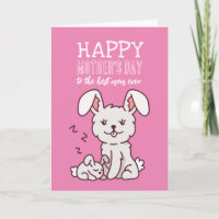 Cartoon animal lapin mignon Bonne fête des mères