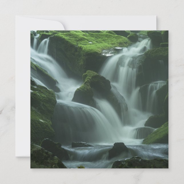 Carte Cascade calmante (Devant)