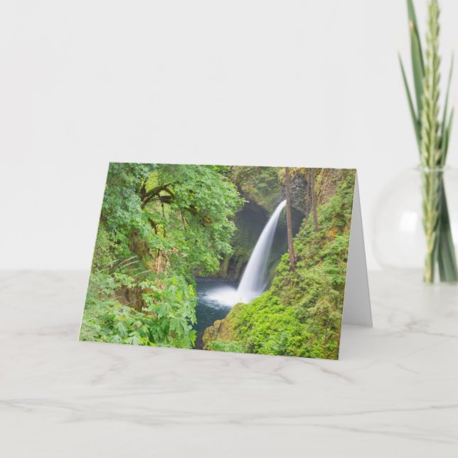Carte Cascade Metlako (Devant)