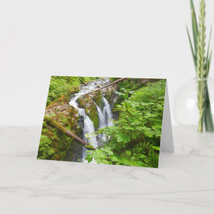 Carte Cascades de Sol Duc II au Parc national Olympique