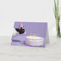 Casquette de port d'anniversaire de chat soufflant