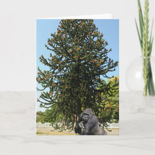 Carte Casse-tête singe & Gorille perplexe.