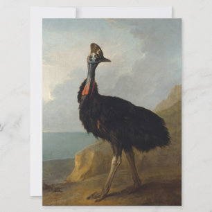 Carte Cassowary (Oiseau australien) (Art animal sauvage)