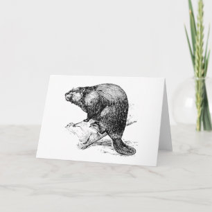 Carte Castor #1