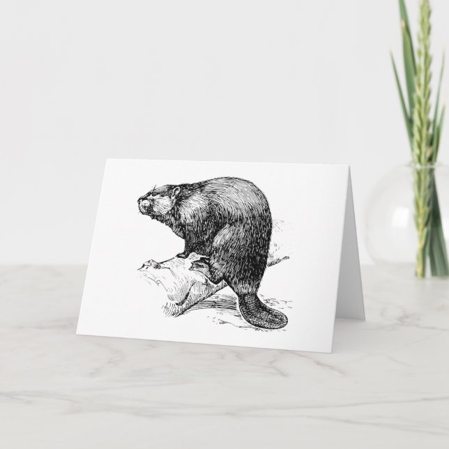 Carte Castor #1 (Devant)
