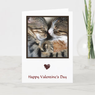 Carte Cat
