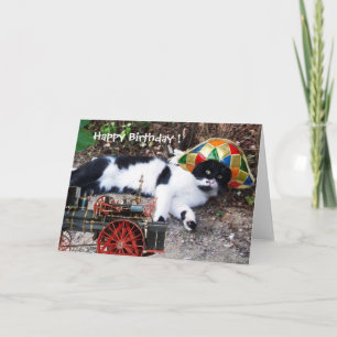 Carte CAT AVEC HARLEQUIN CASQUETTE Joyeux anniversaire