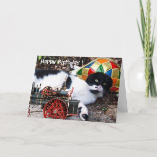 Carte CAT AVEC HARLEQUIN CASQUETTE Joyeux anniversaire