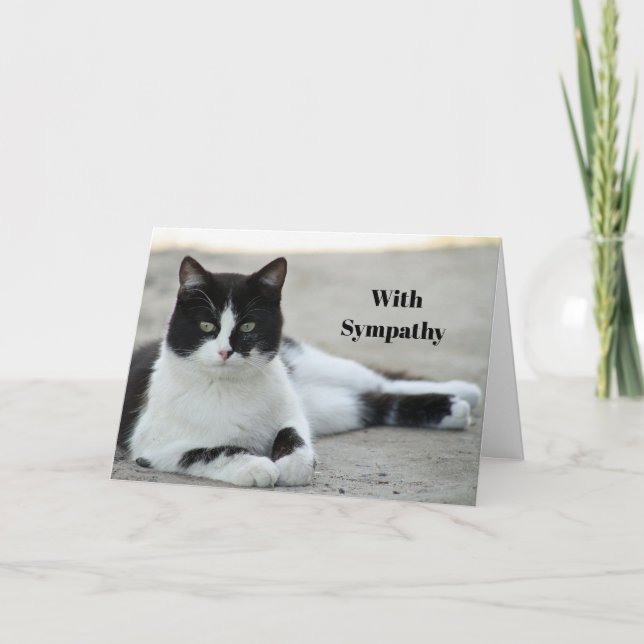 Carte Cat Black and White Tuxedo Photo Sympathy (Devant)