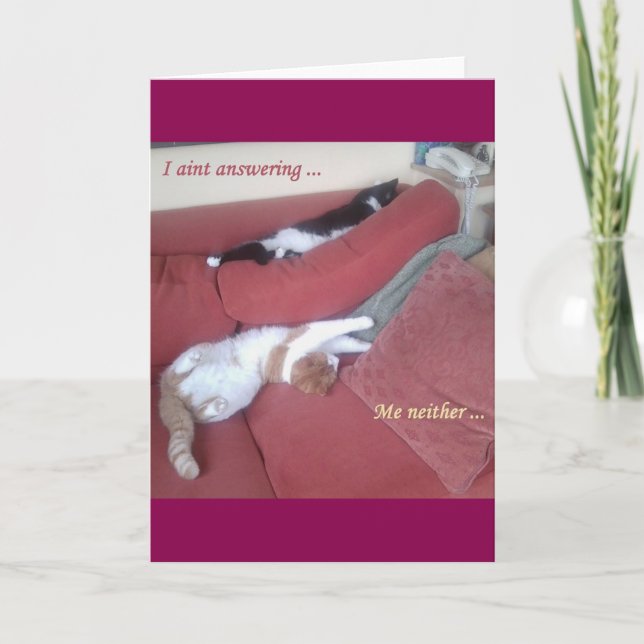 Carte Cat Card 2 fun photo / texte plus retour art abstr (Devant)