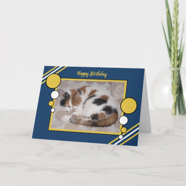 Carte Cat curled up asleep photo navy gold birthday (Devant)