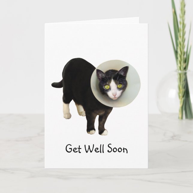 Carte Cat in Cone Get Well Card (Devant)