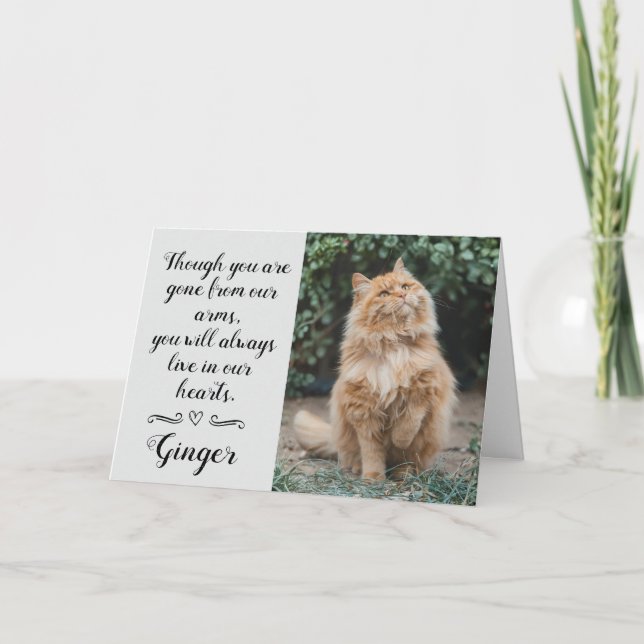 Carte Cat Loss Sympathy Card Personalized Photo Pet Name (Devant)