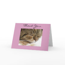 Carte Cat Merci
