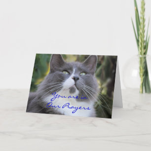 Carte Cat Prayer card-change for any occasion