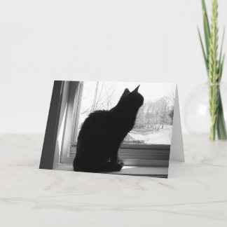 Carte Cat regarde dehors