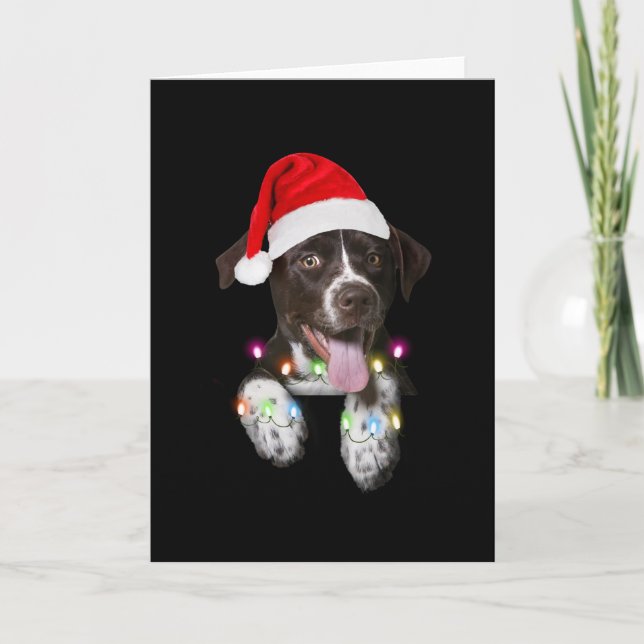 Carte catahoula puppy sitting christmas light (Devant)