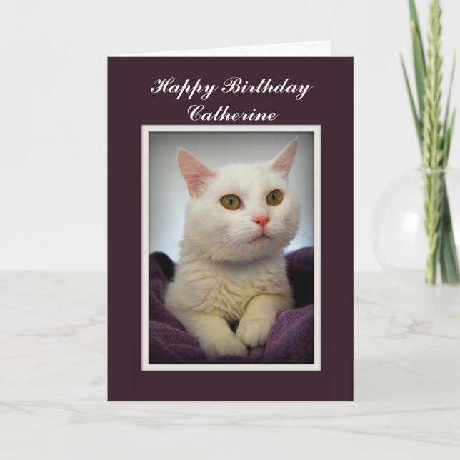 Carte Catherine Happy Birthday White Cat Card (Devant)