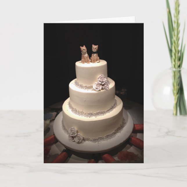 Carte Catnip (Devant)