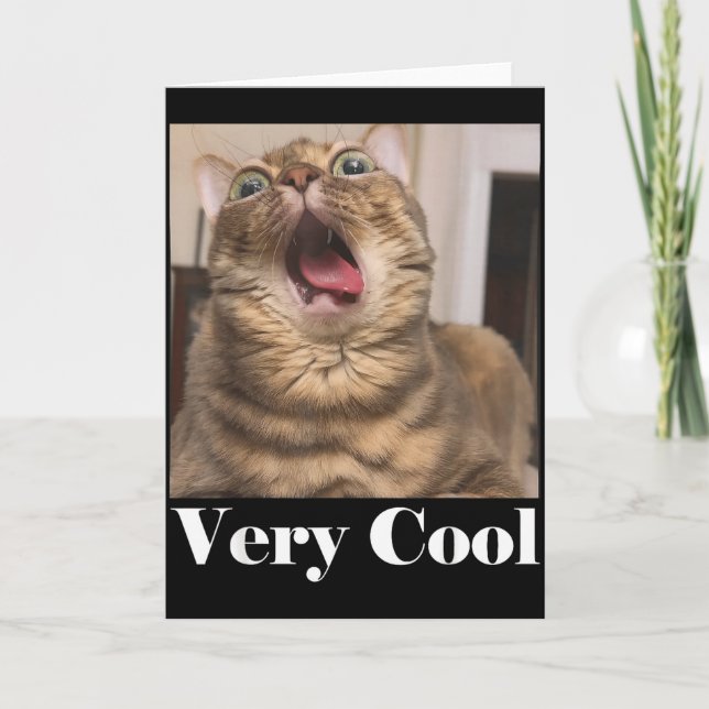 Carte Cats Meme Graphic Silly Cat Humor Funny Cat Very C (Devant)