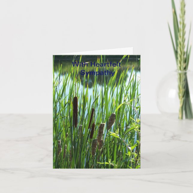 Carte Cattails à l'étang, sympathie (Devant)
