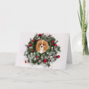 Carte Cavalier King Charles Couronne de Noël